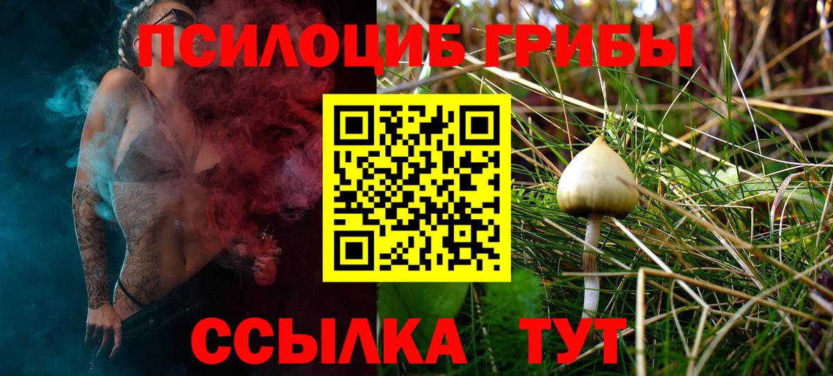 Галлюциногенные грибы Cubensis  Вход с VPN  дарнет шоп  Волгодонск 